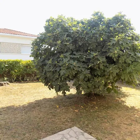 Georges De Didonne - Maison Individuelle - Proche Des Commerces Vila *