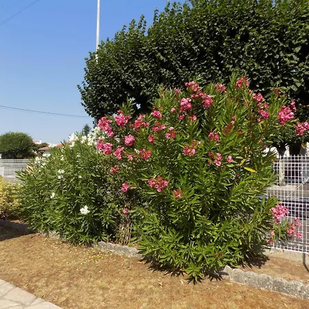 Georges De Didonne - Maison Individuelle - Proche Des Commerces Vila *