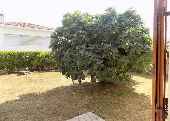 Georges De Didonne - Maison Individuelle - Proche Des Commerces Villa *