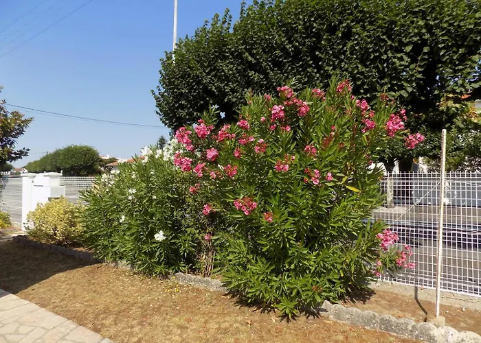 Georges De Didonne - Maison Individuelle - Proche Des Commerces Villa *